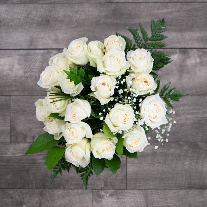 Ivorie - 2 dozen white ivory roses delivered same day on demand